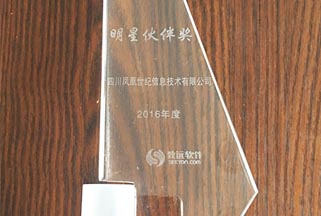 2016年度明星伙伴奖